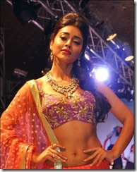 shriya_saran_gorgeous_photo