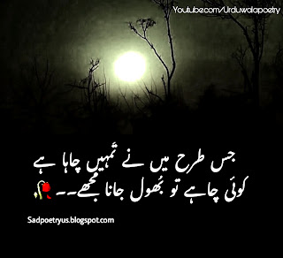 One line Poetry in Urdu Copy paste