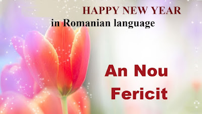 Romanian New Year 2017