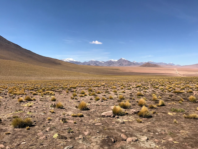 Camino a los Géiseres del Tatio, Antofagasta, Chile