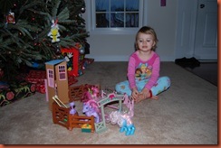 Christmas 2010 090