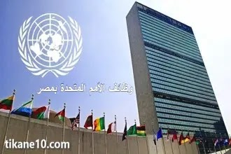 فرص عمل لدى الأمم المتحدة في مصر