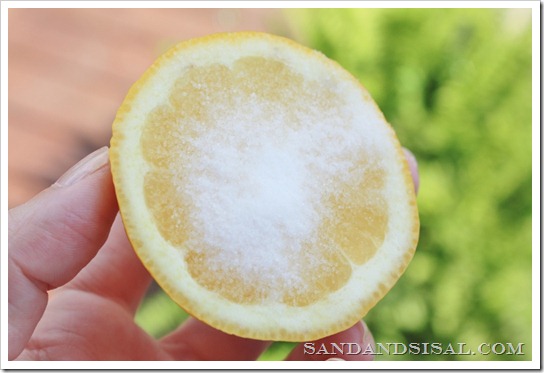 Salt on lemon