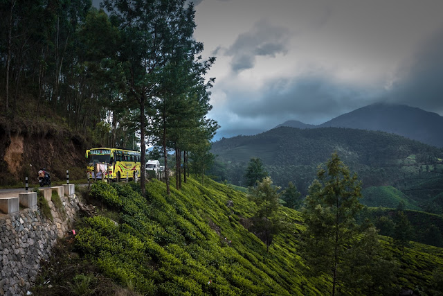 Tea plantations, serpentine roads and hills in Munnar, Kerala