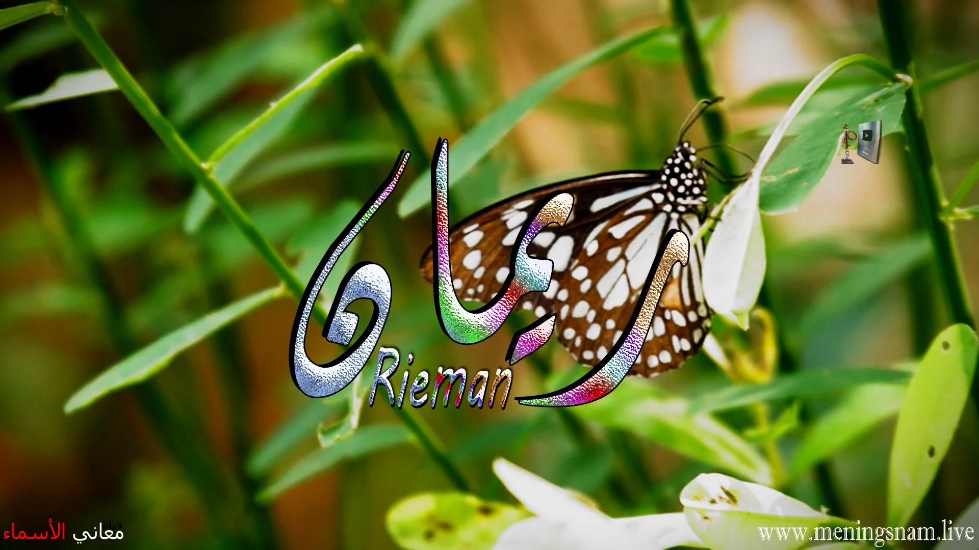 معنى اسم, ريمان, وصفات, حامل, وحاملة, هذا الاسم, Rieman,