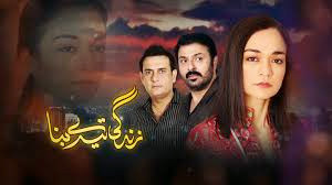 Zindagi Tere Bina Episode 13 ON High Quality 24th March 2014