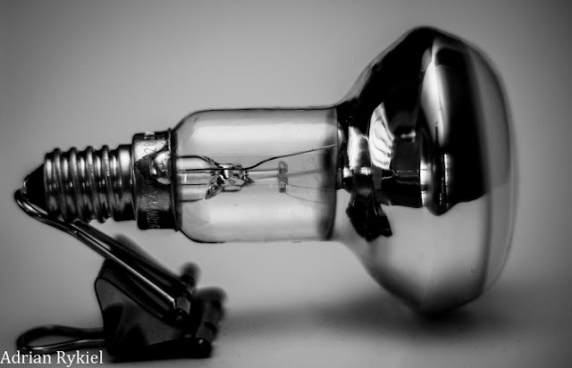 Żarówka lightbulb