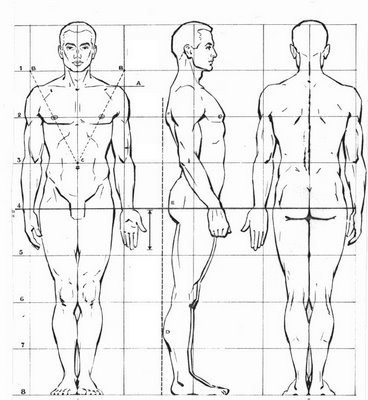 Resultado de imagen de proporciones cuerpo