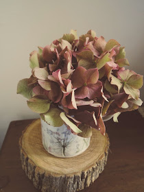 How to dry Hydrangea flowers