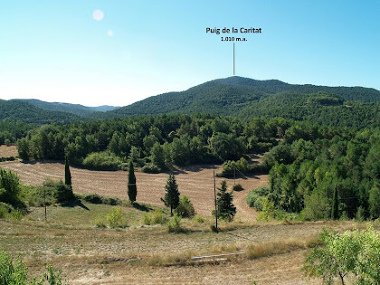 Panoràmica vers el nord des de Sant Feliuet