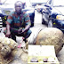 Banker Seeking Fast-Money Defrauded By Herbalist Of N2.5m (Photo)