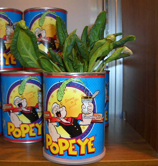 Popeye tiene razón: hay que comer espinaca