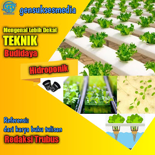 teknik budidaya hidroponik, sejarah hidroponik, pengertian hidroponik, kelebihan hidroponik, dan metode penerapan hidroponik