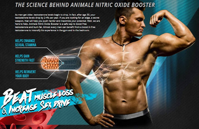 Animale Nitrix Oxide BoosterReviews (Nitric-Oxide) Performance Enhancer! –  Ask Charter