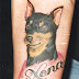 Dog Tattoos