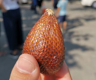 Probamos nuevas frutas como esta, la fruta de la serpiente.