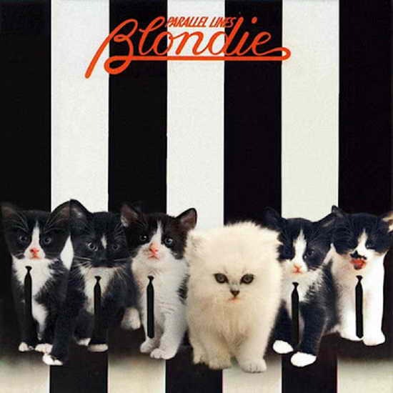The Kitten Covers21