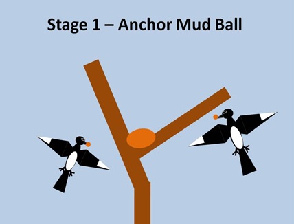 stage1