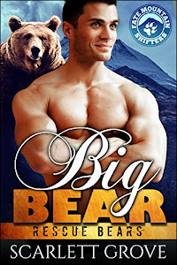 Big Bear (Rescue Bears Book 3) (English Edition)
