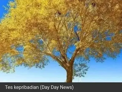 Tes Kepribadian Pohon C