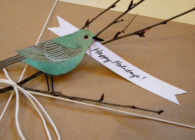 Bird Gift Wrap