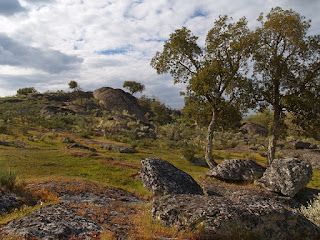 Fotografias de natureza, Castelo de Vide