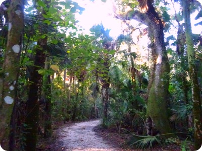 Caloosahatchee Regional Park