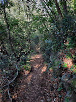 via francigena da nemi a castel gandolfo