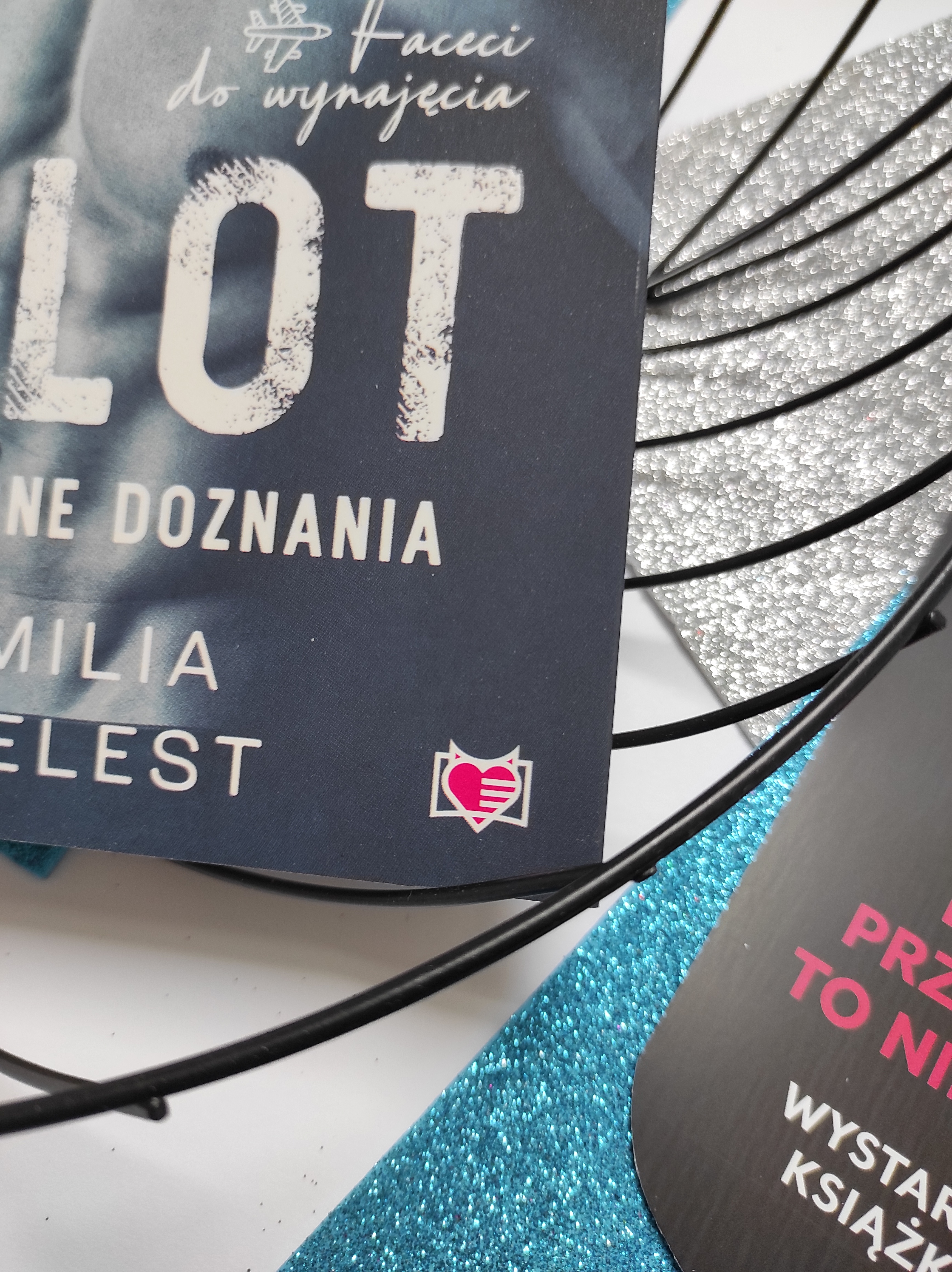 "Pilot. Podniebne doznania" Emilia Szelest - recenzja