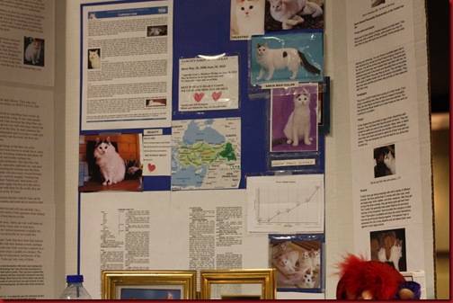 February 2011 041