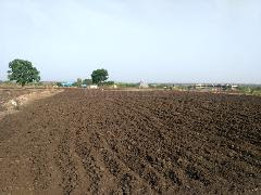 Vikarabad Tandur 1000 Acres Agriculture Land for Sale 13 lac Per Acre