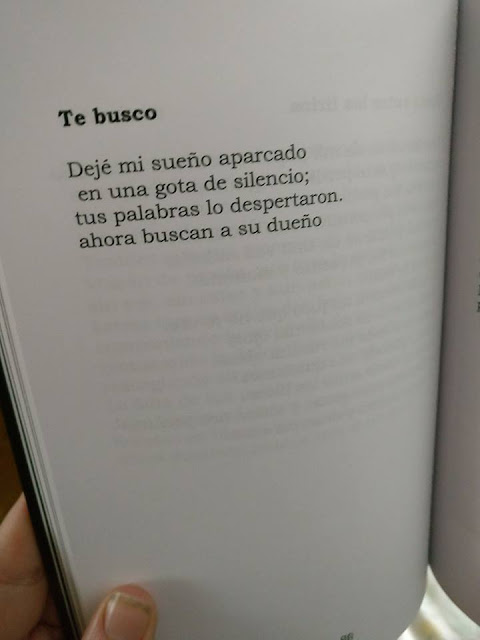 poesia buscar sueño poema dueño busco