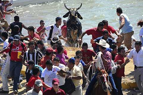 People run from a bull