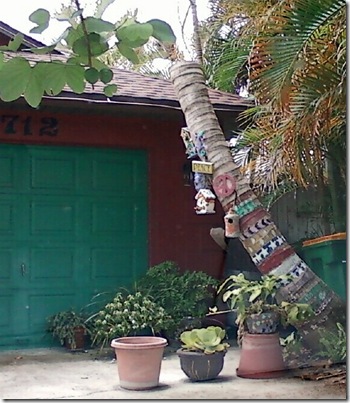 6-27 Painted Palm