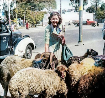 Samia Gamal buying a sheep for Eid Al-Adha in Cairo in early 1950s