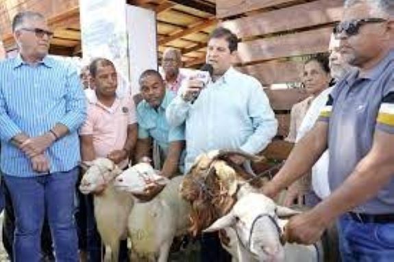 DIGEGA entrega 150 padrotes ovicaprinos en el marco de la Feria Agropecuaria Nacional 2024 