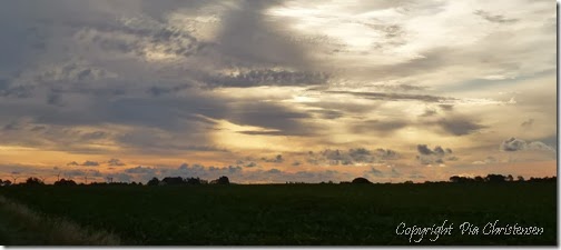 P1130514