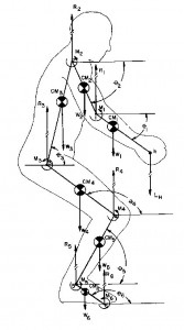 Diagram showing development of Biomechanics