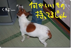 今日カズ１００１２５　１