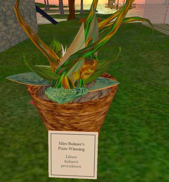 Aether Isle 7 20 11 001