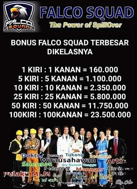 falco squad, bisnis falco squad, peluang bisnis falco squad, bonus falco squad, bonus pasangan, bonus titik