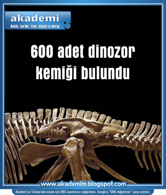 600 adet dinozor kemiği bulundu