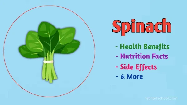 Spinach: 11 Important Health Benefits, Nutrition Facts, Side Effects