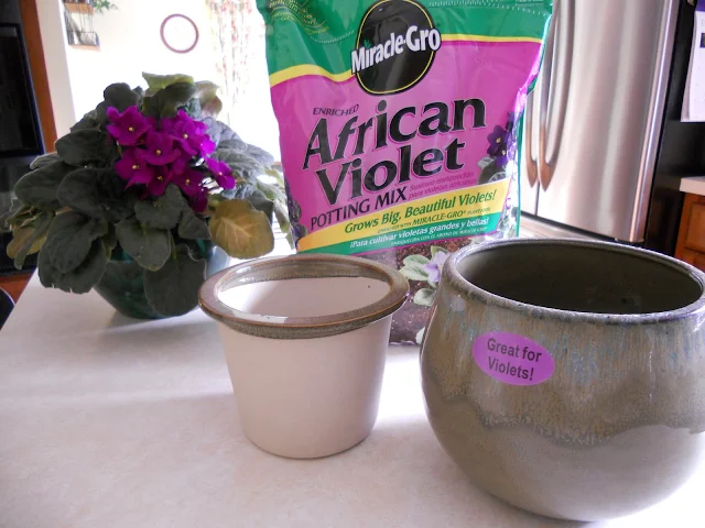 Use African violet soil