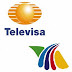 LUZ VERDE PARA TELEVISA IUSACELL