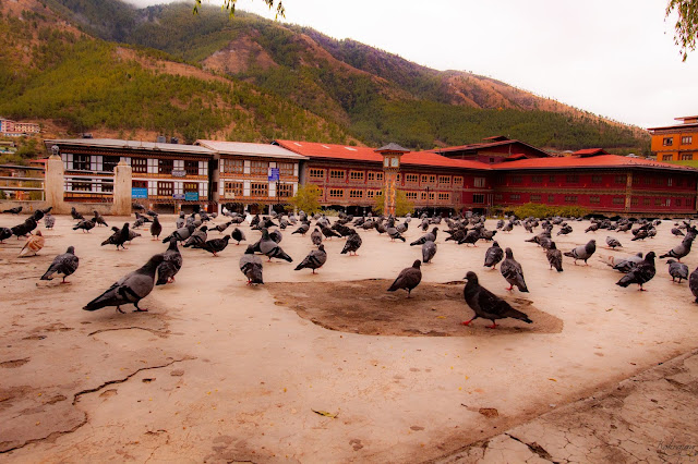 Bhutan Himalayas Mountains Thimphu