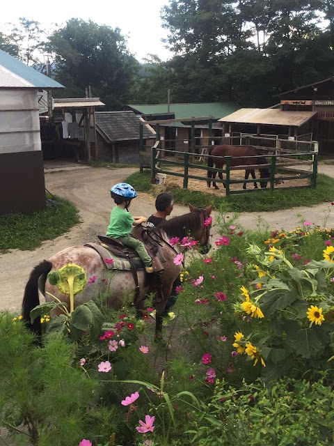 Horse riding in Furano