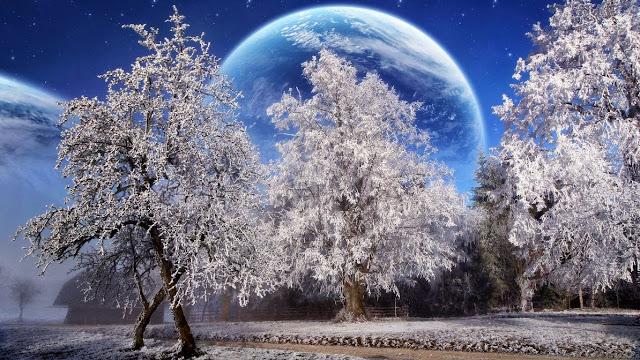 Winter night.HD Wallpapers.winter moon