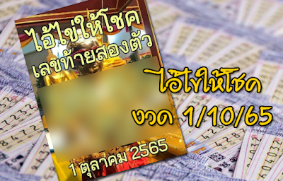 เลขท้ายสองตัว ไอ้ไข่ให้โชค งวด 1/10/65 OHO999.com