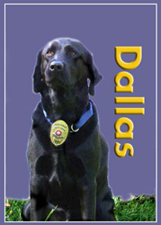 black lab CIA K-9 Hall of Fame Dalls